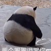 星星人