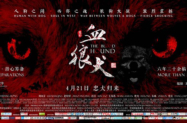 抢票丨动物题材电影《血狼犬》全国免费抢票