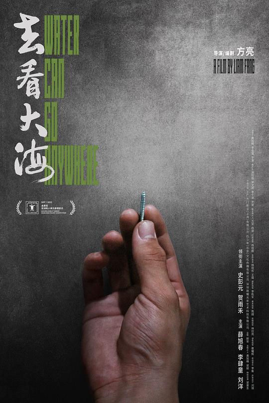 去看大海