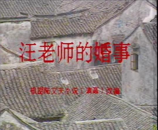 汪老师的婚事
