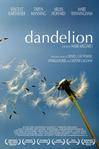 蒲公英 Dandelion