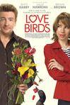 爱情鸟 Love Birds