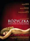 蔷薇 Rózyczka