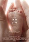 生命之树 The Tree of Life