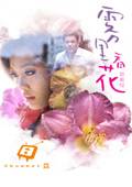 雾里看花