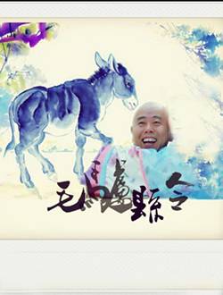 毛驴县令2