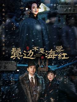 鬓边不是海棠红