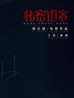秘密访客