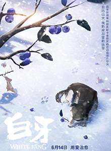 白牙