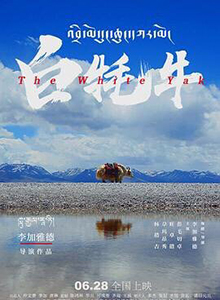 白牦牛