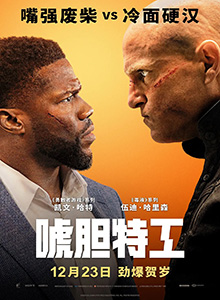 唬胆特工