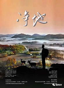 净地