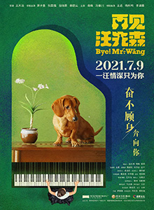 再见汪先森