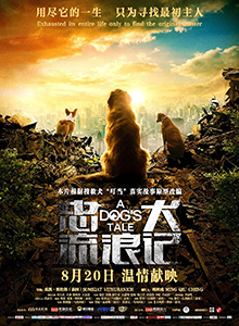 忠犬流浪记