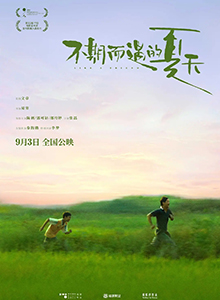 不期而遇的夏天