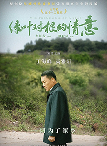 绿叶对根的情意