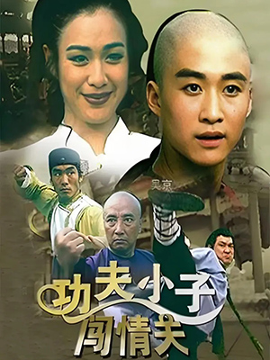 功夫小子闯情关