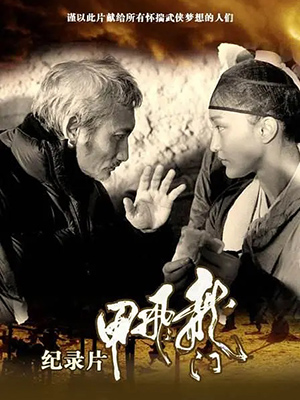龙门飞甲纪录片