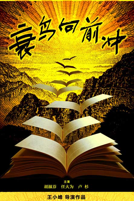 衰鸟向前冲
