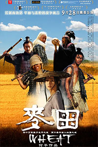 麦田