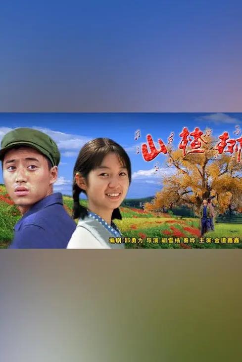 山楂树
