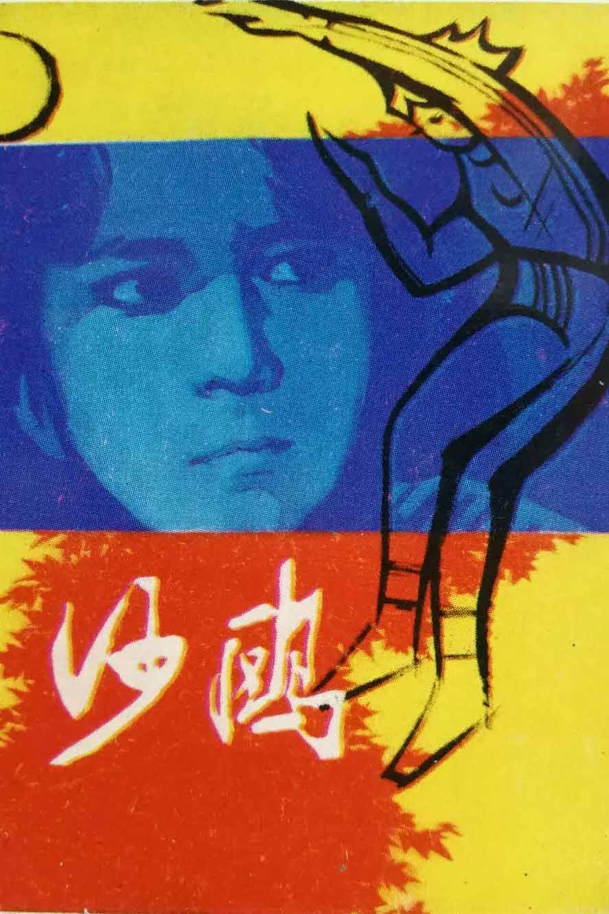 沙鸥