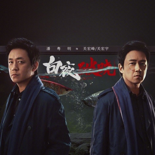 烧脑综艺看过哪些