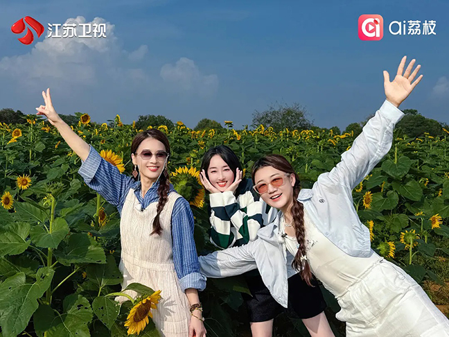 温暖的客栈·元气篇